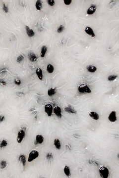 Macro close-up of the pulp of a pitahaya fruit