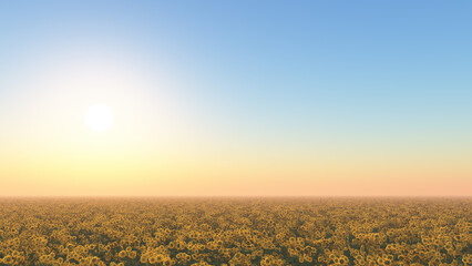 Sonnenblumenfeld in der Nachmittagssonne - 751265362