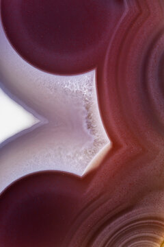 Swazi Agate Macro, Mozambique  