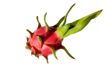 Fresh dragon fruit isolated on a transparent background, detailed view of a vibrant pink and green exotic tropical fruit, ideal for food and nutritional concepts
