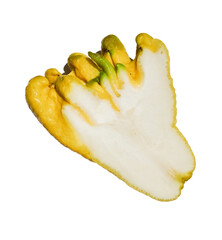 Cross-section of a yellow Buddha's hand citron isolated on a transparent background, showcasing its fresh, crisp texture and internal seeds - ideal for culinary themes and healthy eating concepts
