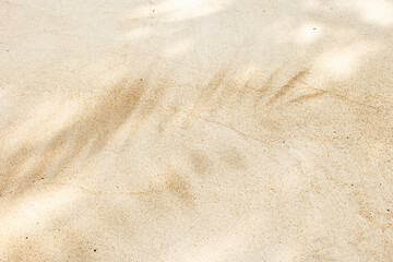 Palm leaf Shadow Pattern on Sand background, Natural light creates shadow pattern on sandy beach....