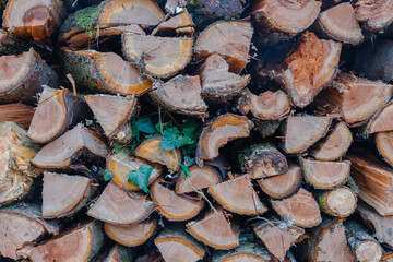 Pile of chopped firewood prepared for winter. Natural background.