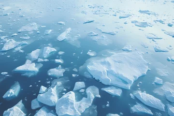 Foto op Plexiglas icebergs in the water © Gheorghe