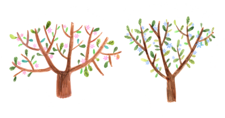 spring blooming trees. Children's illustration. Hand watercolor and pencil drawing. Isolated