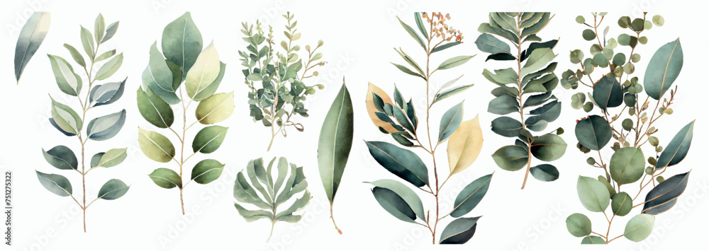 Poster elegant collection of watercolor greenery illustrations: various types of leaves and branches for di
