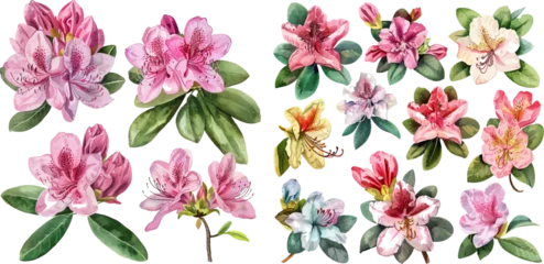 Gordijnen Watercolor rhododendron flowers set, hand painted © Mark