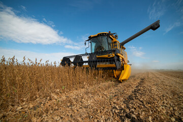 Obraz premium Harvesting of soybean