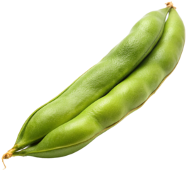 Broad bean, generative ai