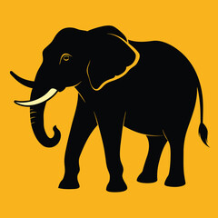 Fototapeta premium Elephant vector illustration