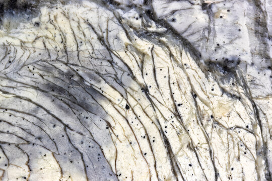 Curving Linear Patterns In A Grey Maligano Jasper 