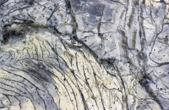 Curving Linear Patterns In A Piece Of Maligano Jasper  