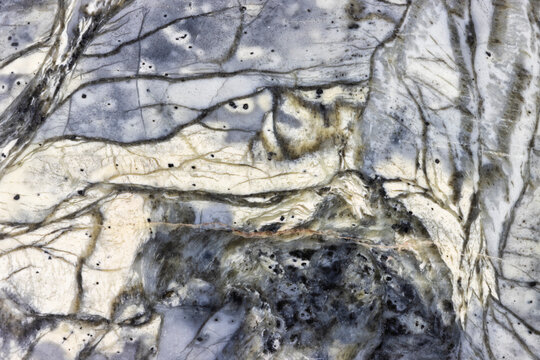 Linear Grey Patterns In A Maligano Jasper  