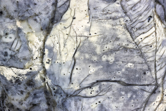 Linear Patterns In A Maligano Jasper  