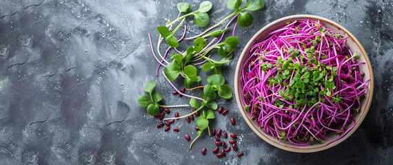 A bowl of purple sprouts sits on a grey countertop. The bowl is filled with a variety of greens, including purple sprouts, and is topped with a sprinkle of red beans. Concept of freshness and health.