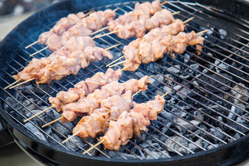 Grilled chicken meat on a barbecue grill. Shish kebab close-up