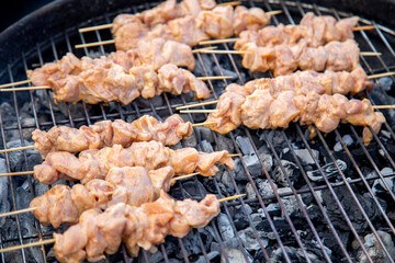 Grilled chicken meat on a barbecue grill. Shish kebab close-up