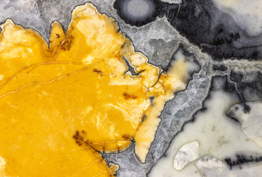 Abstract Colorful Maligano Jasper Background  