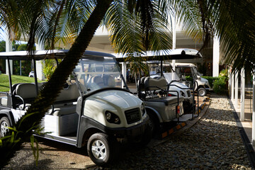 Golf buggies at hotel resort