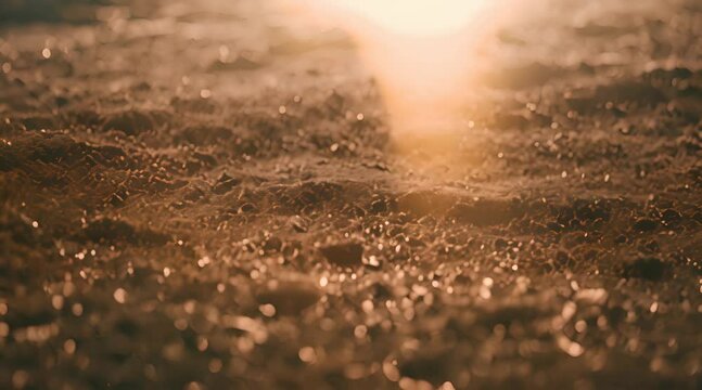 A close-up shot of wet sand forming a path. The surface is textured with tiny grains and has a wet, glistening quality. The light is warm, creating a sense of serenity and peace.