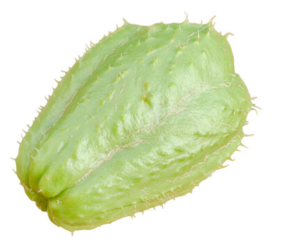 Isolated Christophine (cho cho)