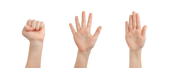 Child's isolated transparent hand. Expressing closed, spread, and stop gestures, encouraging communication and understanding through hand signals