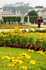 Blooming flowers in Mirabell Gardens in Salzburg in the early summer sunny day