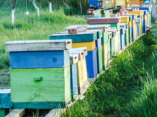Fototapeta na wymiar Bee hives in the spring - Romania