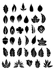 set of black silhouettes of leaves and flowers 