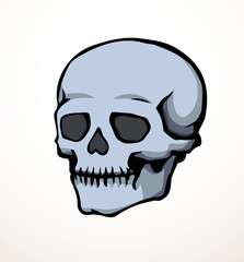 Fototapeta premium Vector drawing. Skull and neck bones