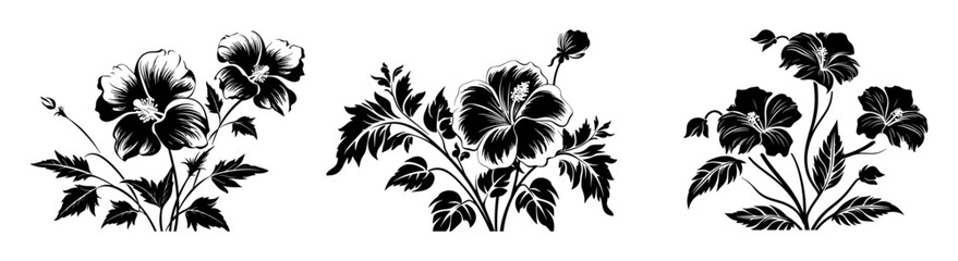 Silhouette of Hibiscus Flowers and Leaves, Black and White Hibiscus Flower Illustration © RM Graphics