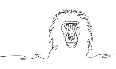 Vector image of a monkey, in a linear style.