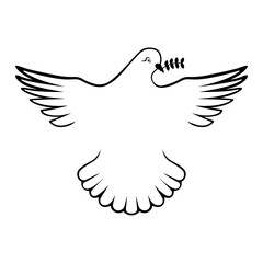 Dove symbol of peace.

