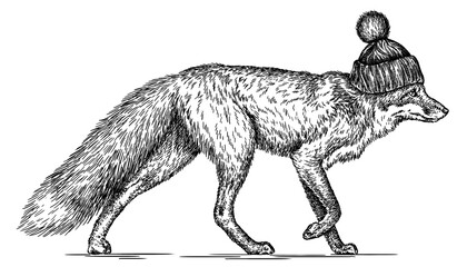 Vintage engraving isolated fox glasses dressed fashion set illustration ink sketch. Wild animal background foxy animal silhouette sunglasses hipster hat art. Black and white hand drawn image