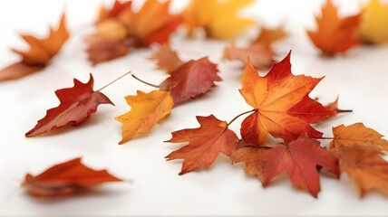 Autumn leaves yellow and orange gradient isolated in white background