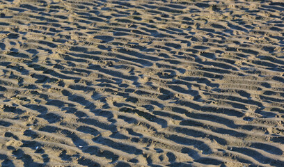 Wattenmeer und Sandstrand an der Nordseeküste in Sankt Peter-Ording