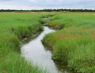 Priel im Wattenmeer vor einem Sandstrand an der Nordseeküste in Sankt Peter-Ording