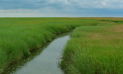Priel im Wattenmeer vor einem Sandstrand an der Nordseeküste in Sankt Peter-Ording