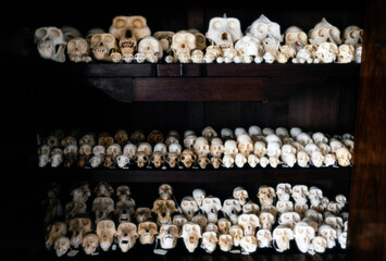 Throphy. Forbidden import. Apoe skulls. Tiger skin. Collection. Teeth.  Ivory. Eighteis.Smugling...