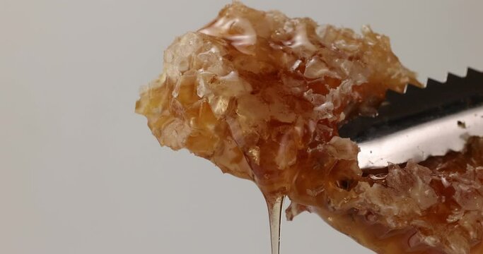 Thick golden yellow Honey slowly dripping from hexagonal wax honeycomb on white background