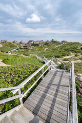 Path along the dunes in Rantum, Sylt, Schleswig-Holstein, Germany