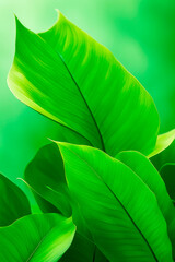 Green leaves eco-friendly background, concept of ecology and healthy environment.