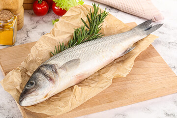 Raw seabass fish for cooking