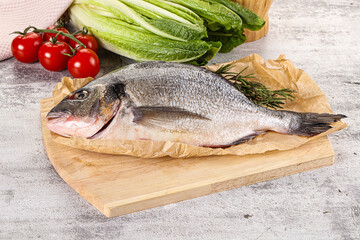 Raw dorada fish served rosemary
