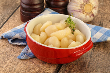 Raw scallop seafood in the bowl