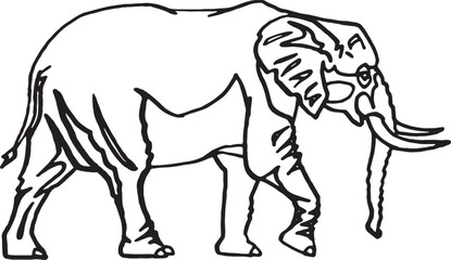 Graphical sketch of elephant walking on white background, vector doodle  illustration	