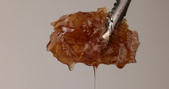 Thick golden yellow Honey slowly dripping from hexagonal wax honeycomb on white background