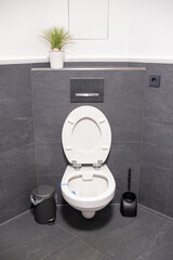 white flush toilet in modern bathroom interior - 751328196