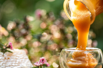 Pour honey into glass jar and honeycomb on natural background.