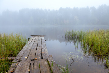 Autumn landscape in the early foggy morning on a beautiful lake with water lilies.